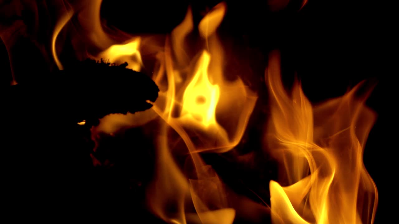 Big bonfire with bright flame and unburned log over the black background. Cozy evening with fire outdoors. Close-up