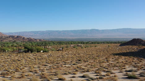 vuelo rápido de drones que se elevan desde un paisaje lleno de matorrales