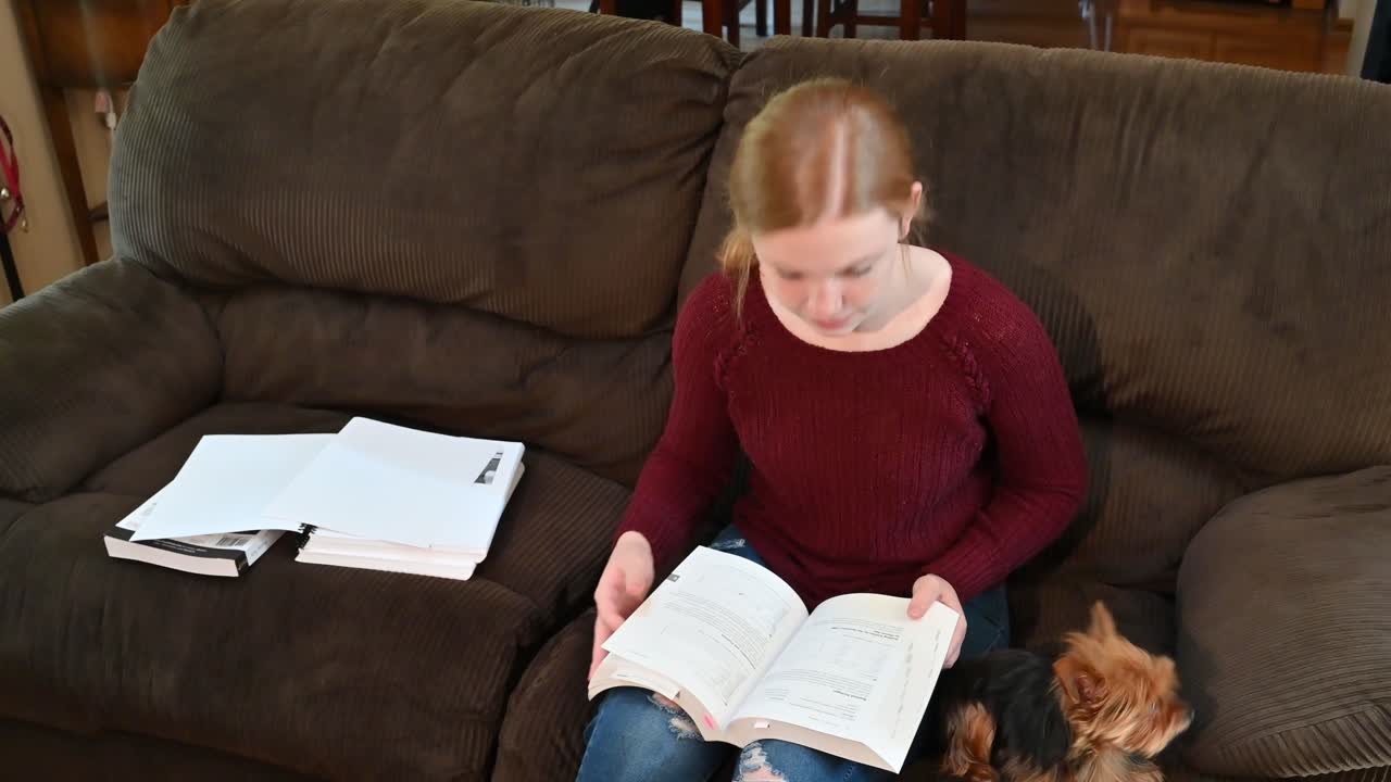 маделин изучает книги для большого экзамена