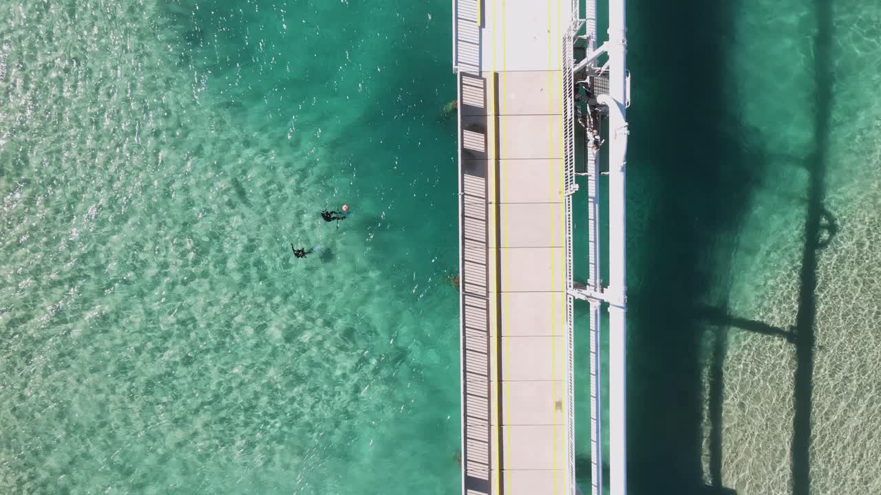 바다 의 폐수 배출장 근처 의 투명 한 물 에서 스피어  ⁇ 시 하는 사람 들