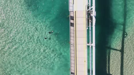 people spearfishing in crystal clear water near an ocean wastewater outlet