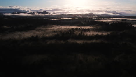 Amanecer-Sobre-La-Selva-Tropical-Templada-Brumosa,-Escena-Natural-Cinematográfica-En-Tofino