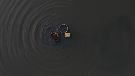 a slow zoom in from above as a man is collecting snails in the muddy shallows of a canal in vietnam