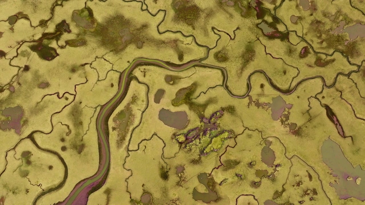 Planície de maré abstrata com afluentes de rio esculpindo a paisagem. Vista aérea.