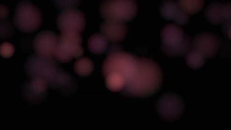 el bokeh redondo púrpura de la mosca sobre un fondo negro