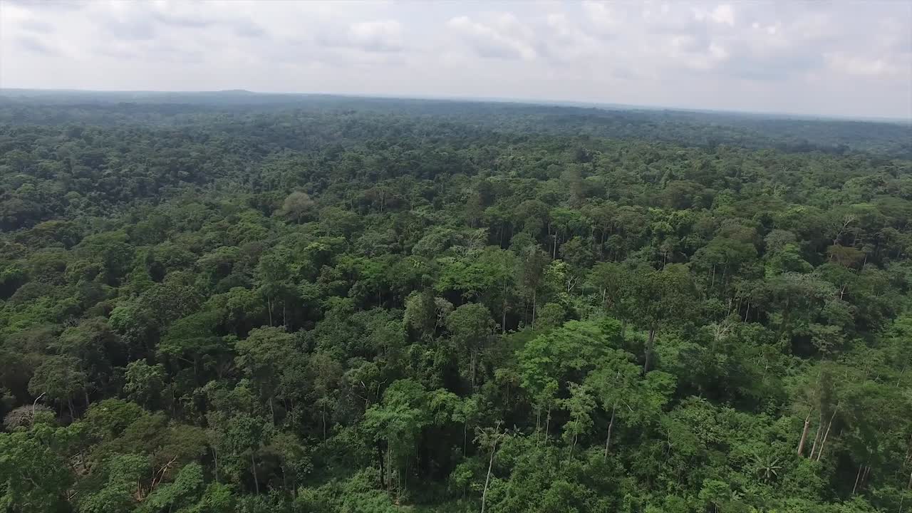 video grabado en lo alto desde un dron