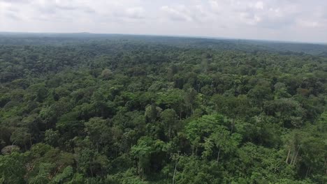 video recorded up high from a drone