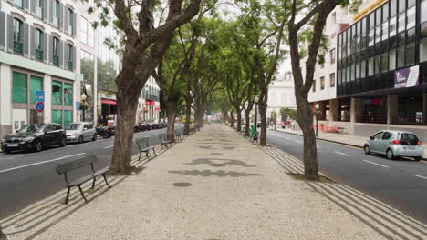 vacant park at the street at downtown funchal in madeira island, portugal. aerial