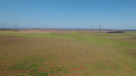 Ripe-watermelons-scattered-in-a-huge-field,-aerial-view,-wide-lens,-slow-push-in-movement