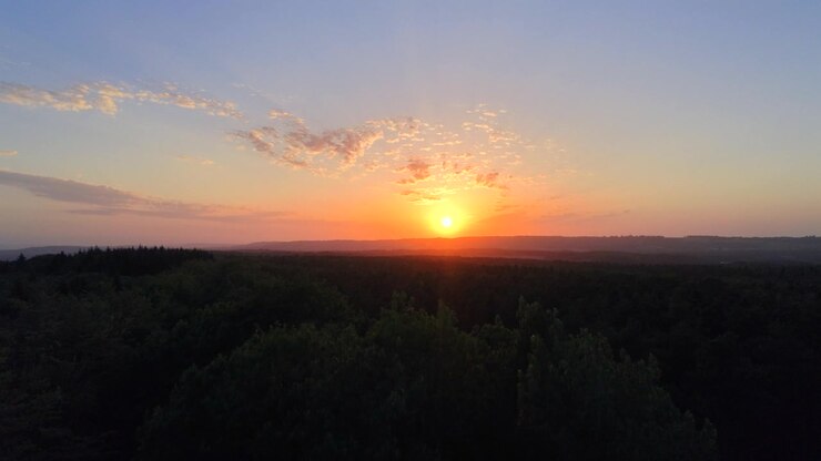 Ripresa in pedestal sopra una foresta scura al tramonto splendente con cielo e orizzonte arancioni