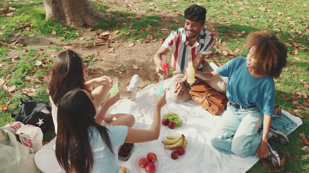 친구 들 이 공원 에서 피크닉 을 즐기고 있다