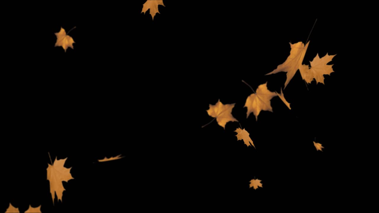 Colorful abstract maple leaves fall leaves swinging in autumnal background loop animation beautiful