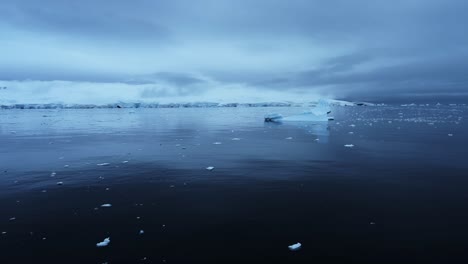 dark moody blue winter seascape of ice and icebergs floating on the sea in antarctica, ocean sea water in the antarctic peninsula in a freezing frozen icy winter landscape seascape