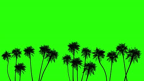 animation of many palm trees in the wind on a green screen. green screen is good for keying.