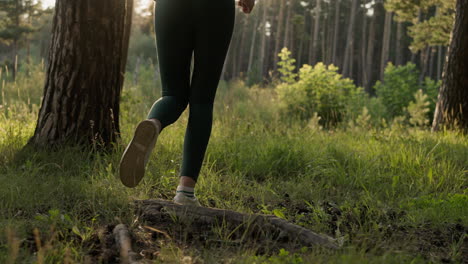 woman walking on a path in the forest