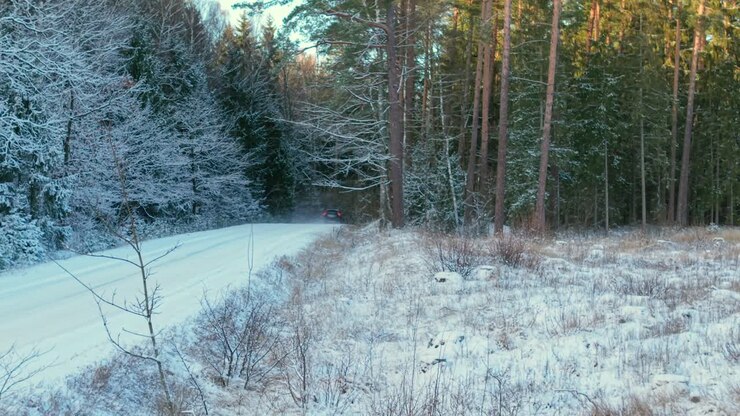 Aerial vehicle tracking view, countryside track, woodland snowy weather