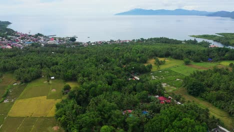 farmlands amidst green forest and the coastal town of saint bernard in southern leyte, philippines