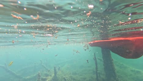 red kayak underwater