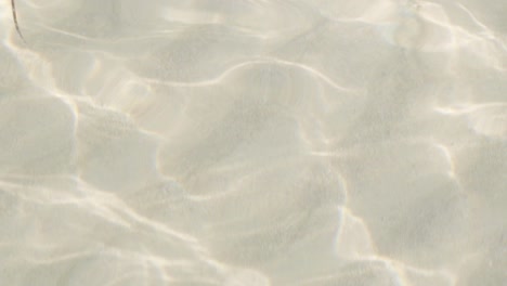 abstract light reflections on ocean water and sand