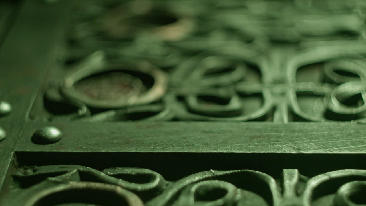 신비로운 네오 빅토리아 시대, 고대 미래 아기 태아 형상 매크로  ⁇ , 슬라이드  ⁇