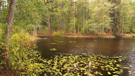 Gulbene-city-pond-and-park