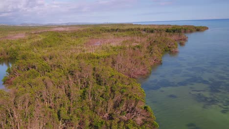 en el área de cabo rojo encontré un callejón sin salida a un embarcadero a una vía de agua de entrada al océano en puerto rico después del huracán maria