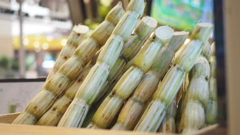 sugarcane display