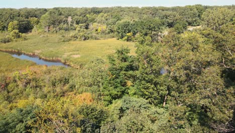 Exploring-marshland-with-an-aerial-drone