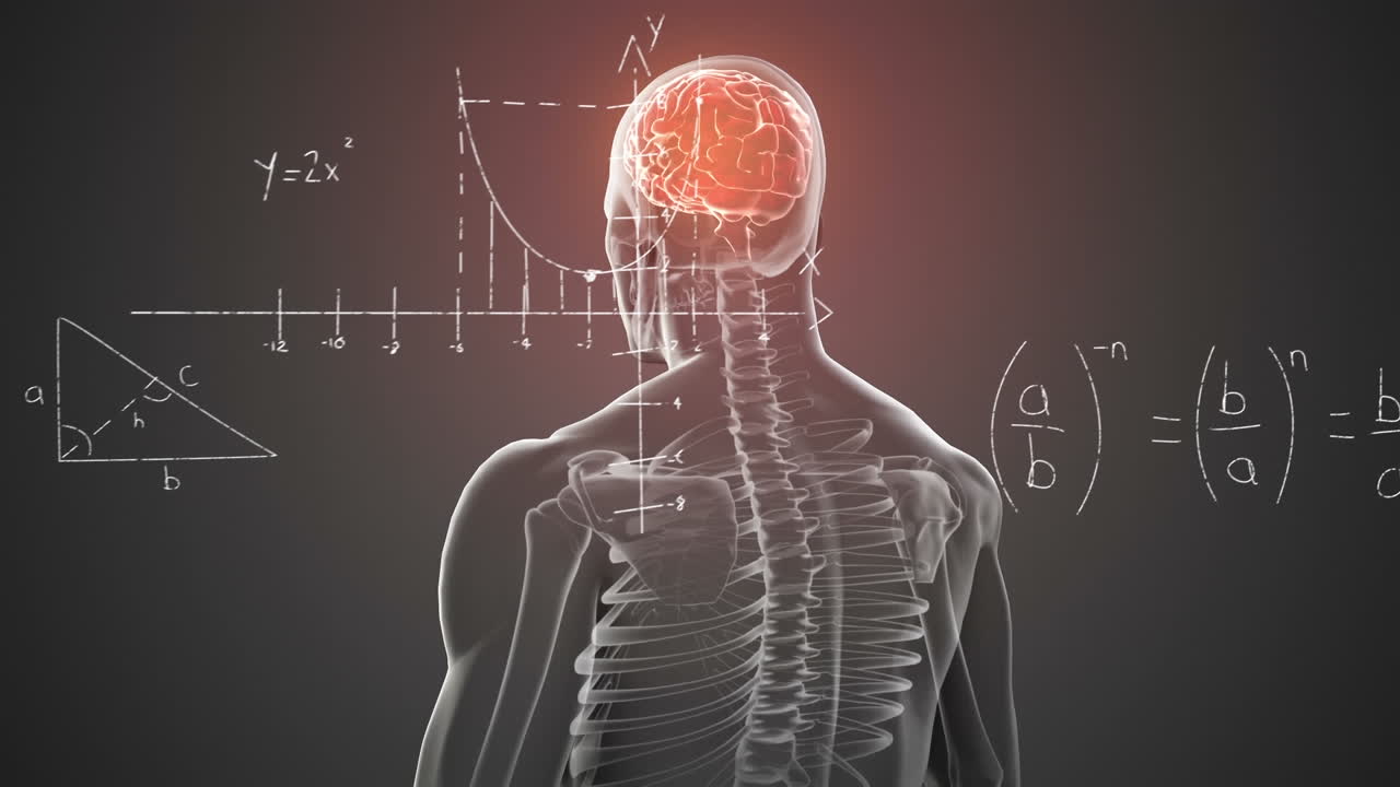 뇌와 함께 회전하는 인체 모델 위에 떠다니는 수학 방정식의 애니메이션