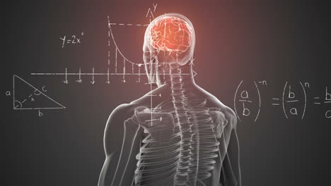 animación de ecuaciones matemáticas flotando sobre un modelo de cuerpo humano giratorio con cerebro
