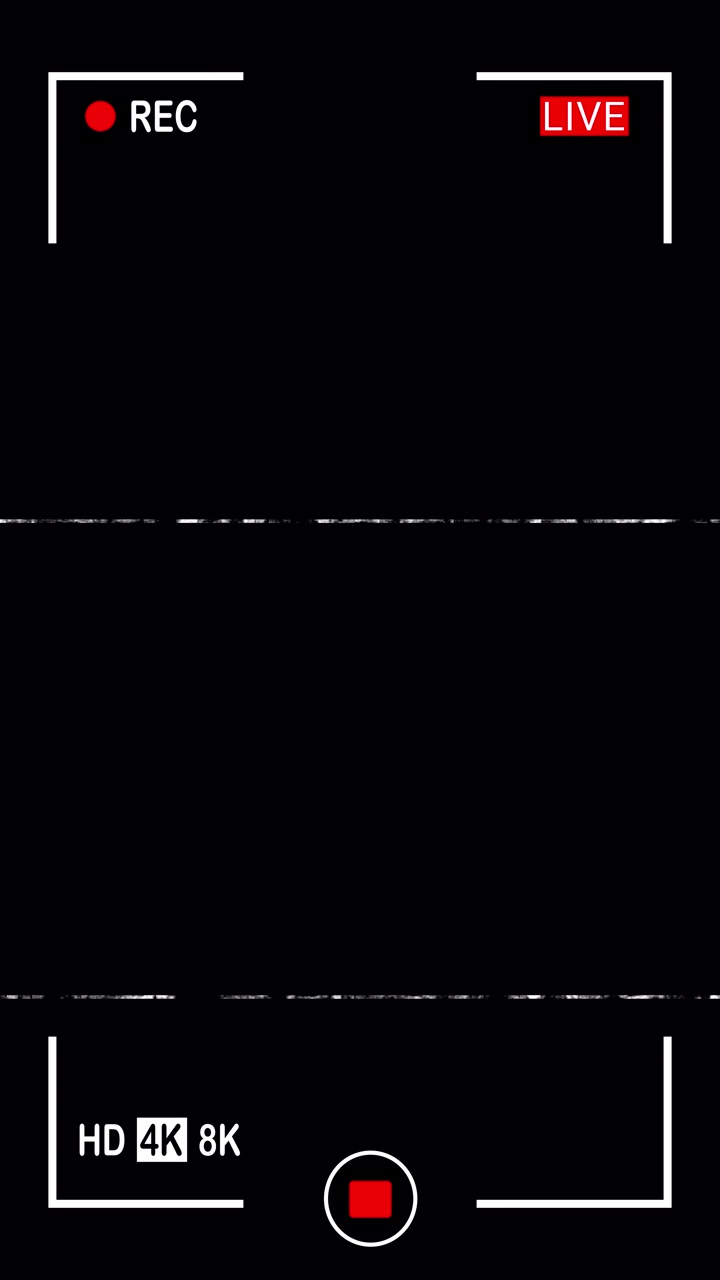 Camera Recording Interface with Glitch and Static Effects