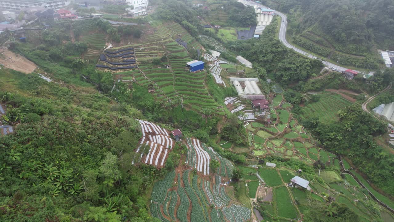 vista general del paisaje del distrito de brinchang dentro del área de cameron highlands de malasia