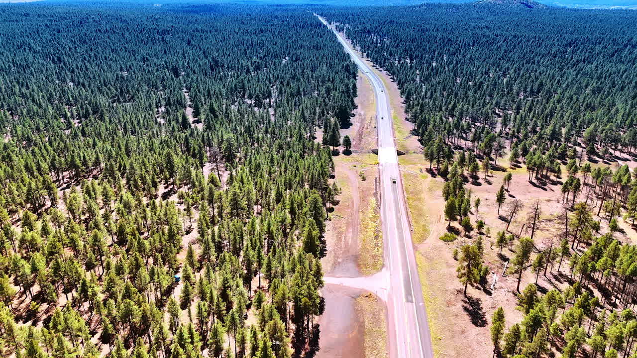 Flying high above the highways crossing the sparse pine tree wood. Mountain silhouettes at backdrop. Arizona, USA