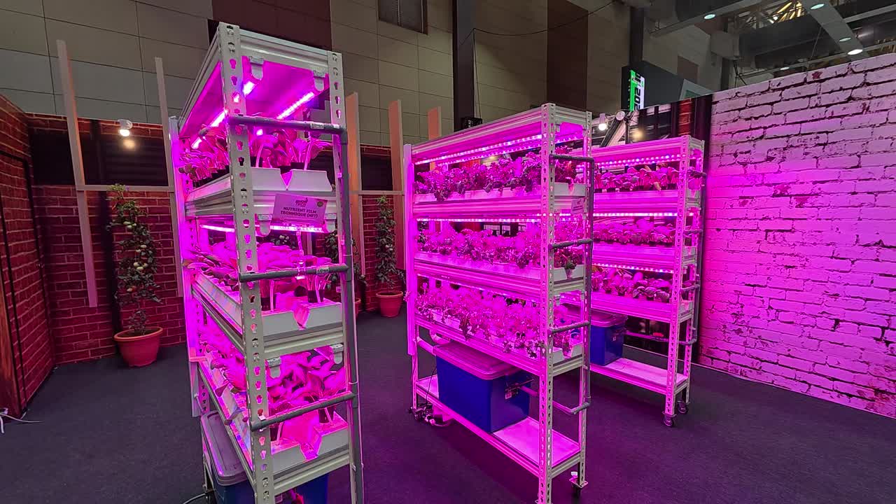 Vertical farming with infrared lights promotes rapid vegetable growth on tiered racks, optimizing space and yield. This innovative method enhances plant development efficiently.