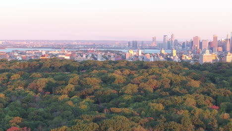 aerial view of city skyline and forest during sunset