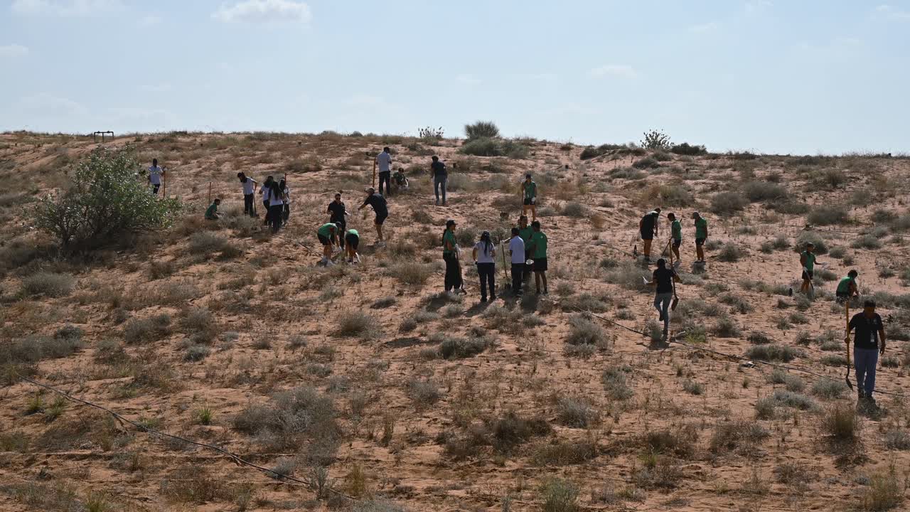 Under 'Plant the Emirates,' students plant trees in the Sharjah desert