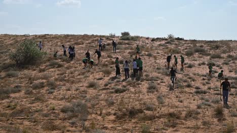 under 'plant the emirates,' students plant trees in the sharjah desert