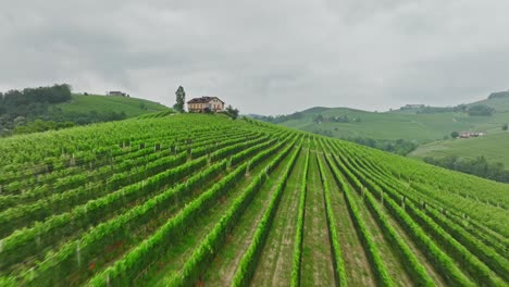 Wunderschöne-Italienische-Weinberge