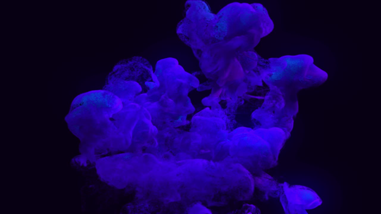 Iniezione di inchiostro blu 3D in acqua su sfondo nero con luma matte come canale alfa. Inchiostro particellare. Effetto inchiostro con un'enorme piuma di inchiostro. Soffi di vernice sott'acqua per effetti, sfondi luminosi o composizioni.