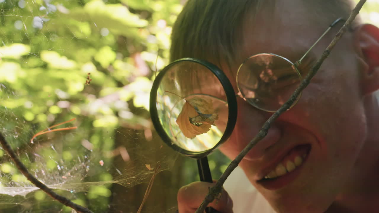 Young man holding microscope to observe dry leaf resting on delicate spider webs in forest environment, focusing on fragile cobweb threads illuminated by sunlight for scientific and ecological study