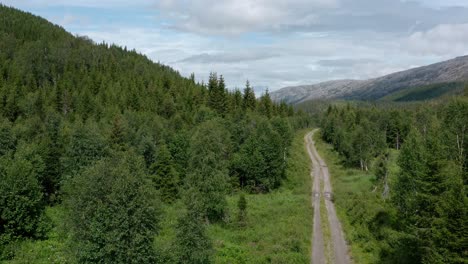 car driving on dirt road passing by coniferous forest in the mountain at daytime