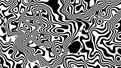 loopable abstract black and white pattern: flowing lines and organic shapes create a swirling dynamic liquid marble texture for modern backgrounds and textures