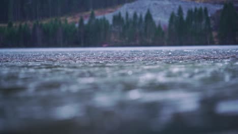 Copos-De-Hielo-En-El-Lago