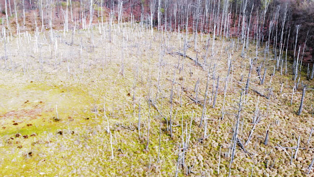 폴란드 루블레보 (lublewo) 에 있는 버 산 보호구역