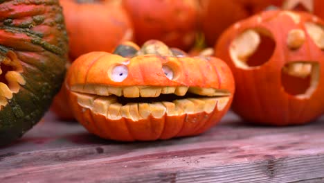 a funny and scary carved pumpkin sits outdoors on a shelf in daylight on halloween, spooky, festive charm, surrounded with lots of pumpkins