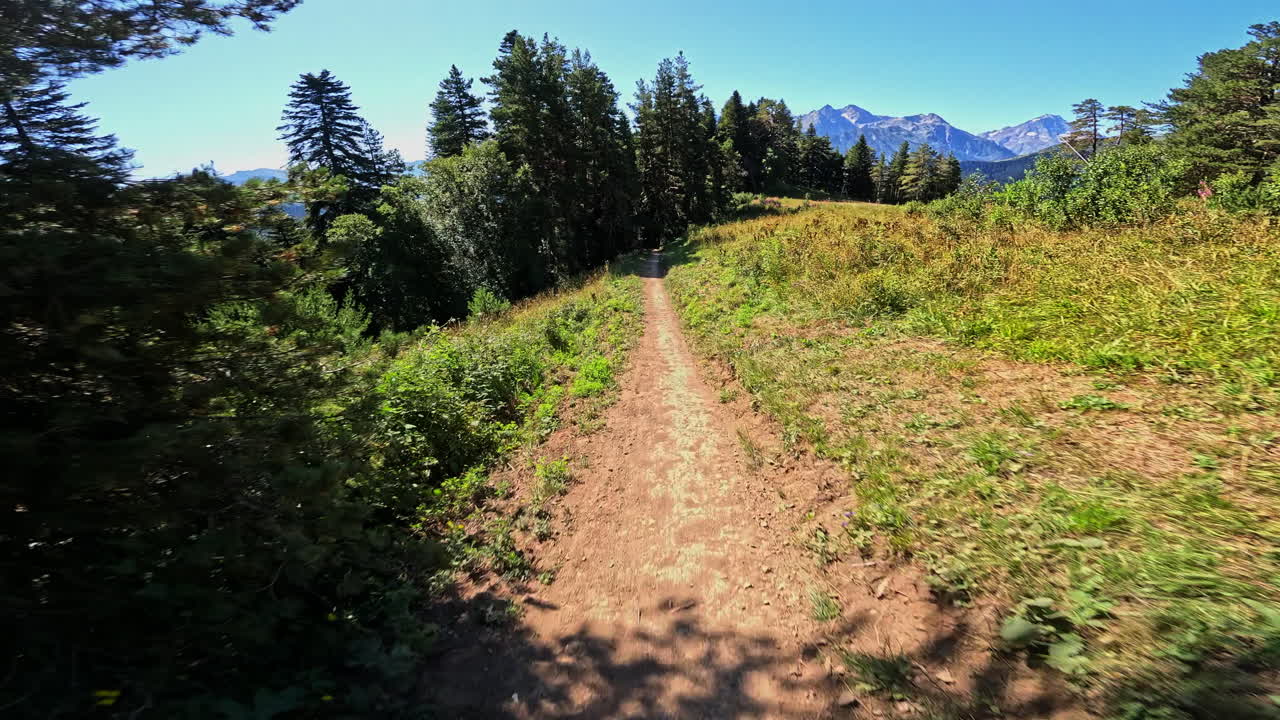 First Person View Moving Along a Dirt Path Through a Mountain Forest
