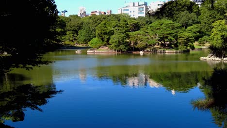 the beautiful park in tokyo