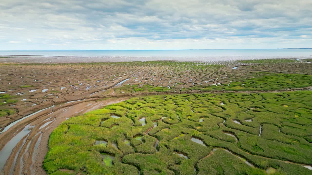 pisos de barro agrietados en un pantano salado