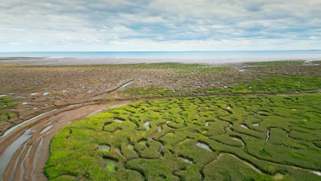 Pisos-De-Barro-Agrietados-En-Una-Marisma