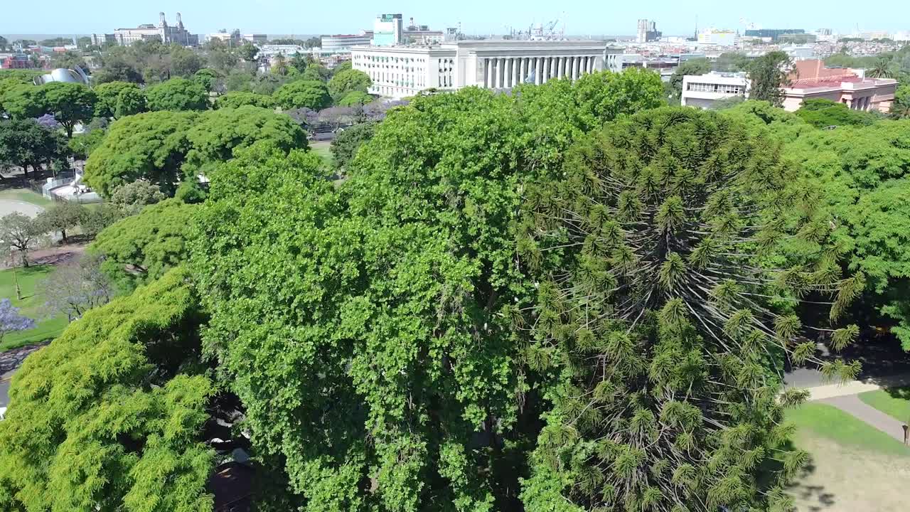 公園的茂盛綠色樹木,背景是布宜諾斯艾利斯大學法學院